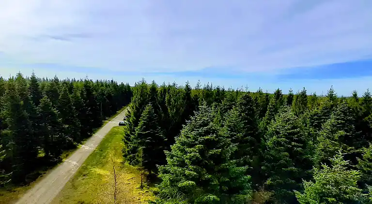 Feriebolig i Hovborg