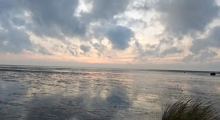 Feriebolig på Fanø