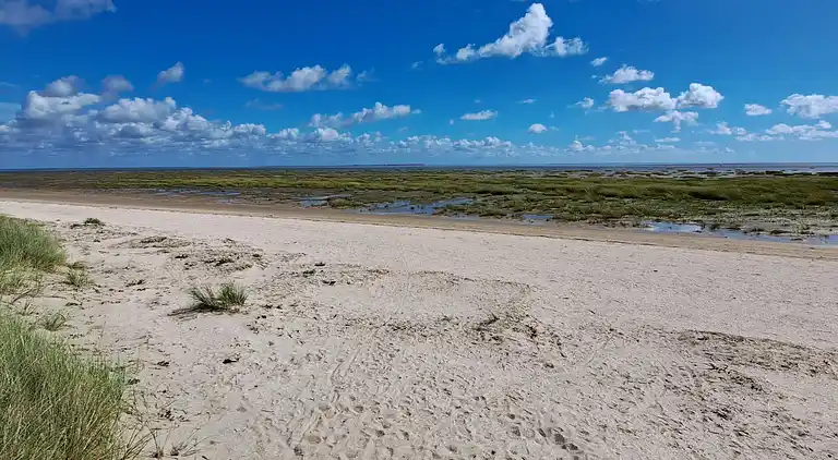 Feriebolig på Fanø