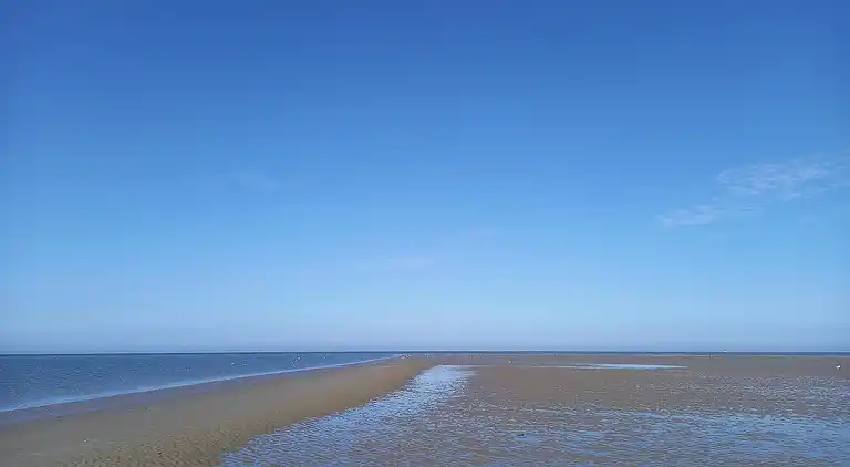 Feriebolig på Fanø