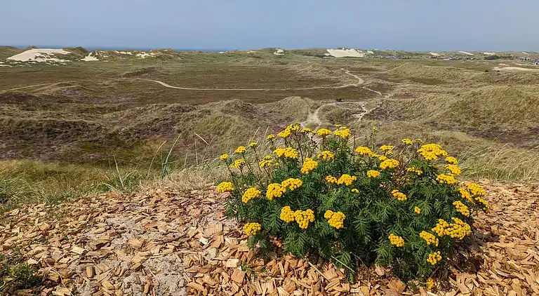 Holiday home in Haurvig