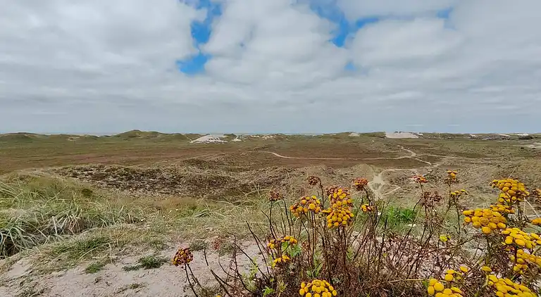 Holiday home in Haurvig