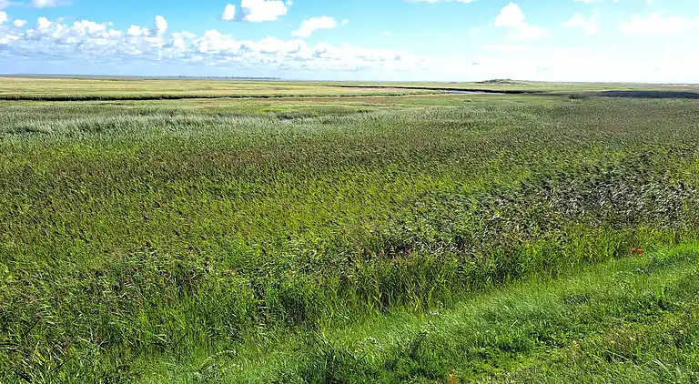 Feriebolig på Fanø