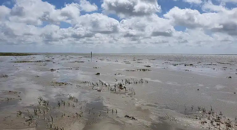 Feriebolig på Fanø