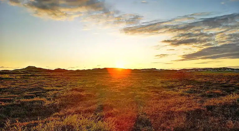 Holiday home in Haurvig
