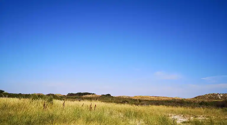 Feriebolig på Fanø