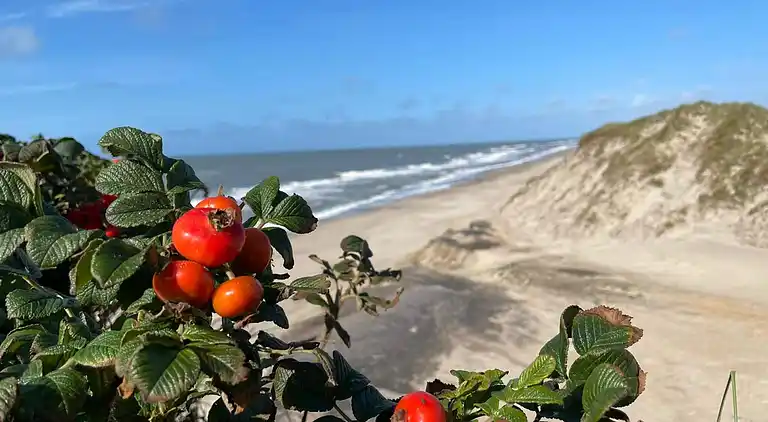 Semesterbostad vid Houvig Strand