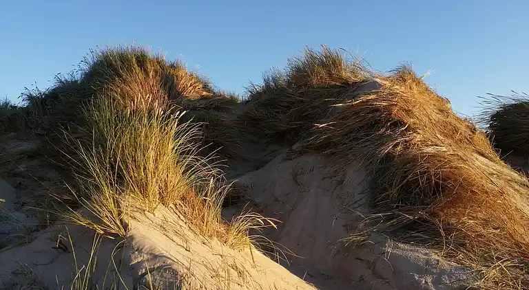 Semesterbostad vid Houvig Strand
