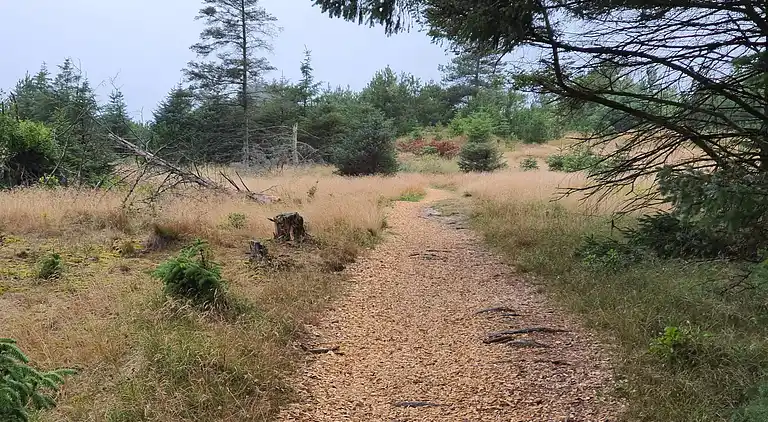 Holiday home in Grønhøj