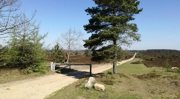 Maison de vacances au Hovborg