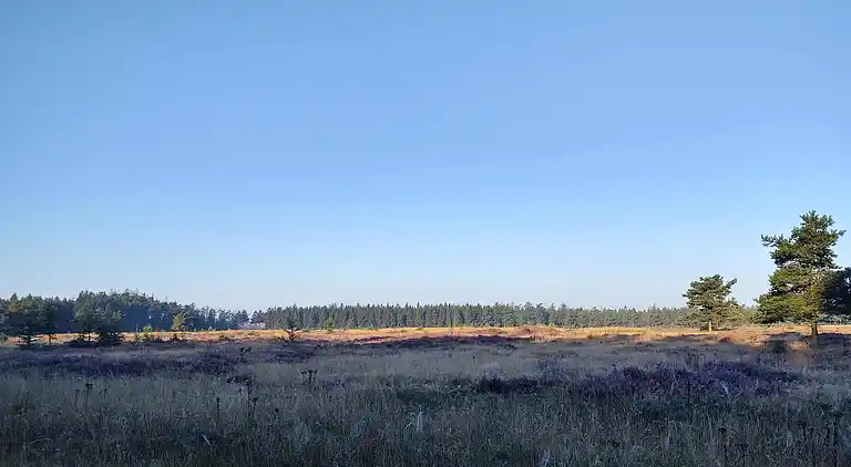 Maison de vacances au Hovborg