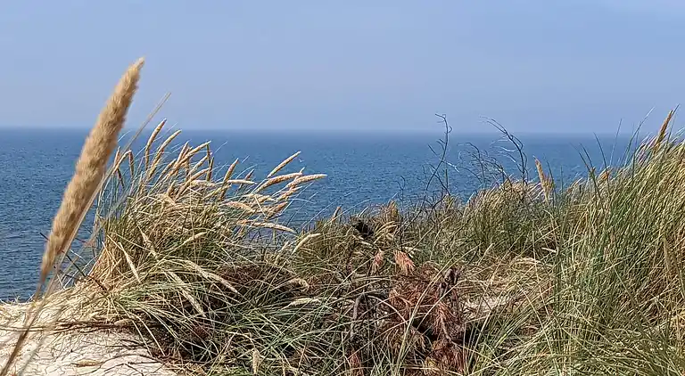 Maison de vacances en Hvide Sande