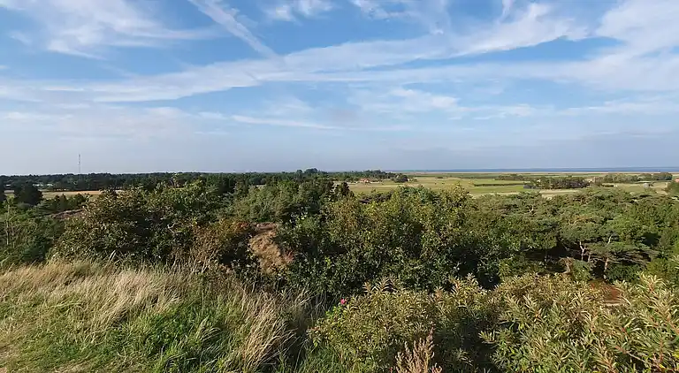Sommerhus i Bolilmark