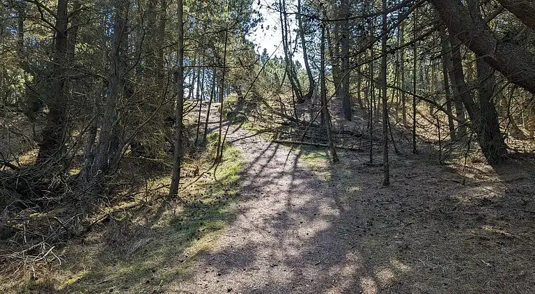 Sommerhus i Bolilmark