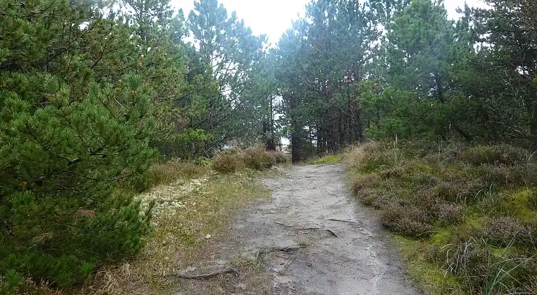 Sommerhus i Bolilmark