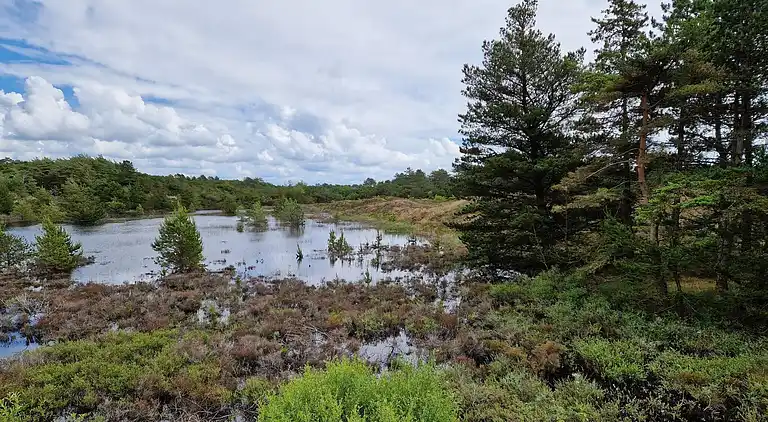 Sommerhus i Bolilmark