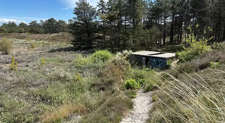 Sommerhus i Bolilmark