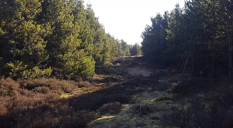 Sommerhus i Bolilmark
