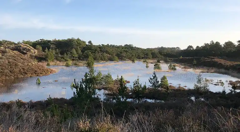 Sommerhus i Bolilmark