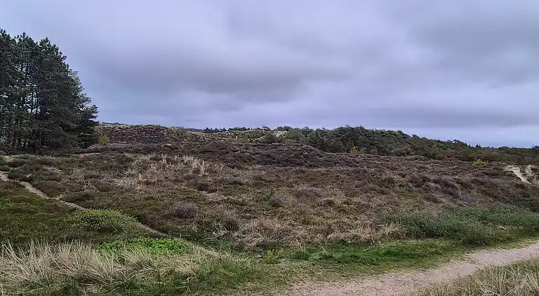 Sommerhus i Bolilmark