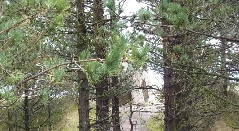 Sommerhus i Bolilmark