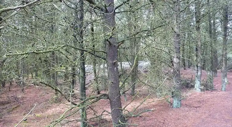 Sommerhus i Bolilmark