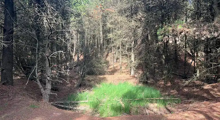 Sommerhus i Bolilmark