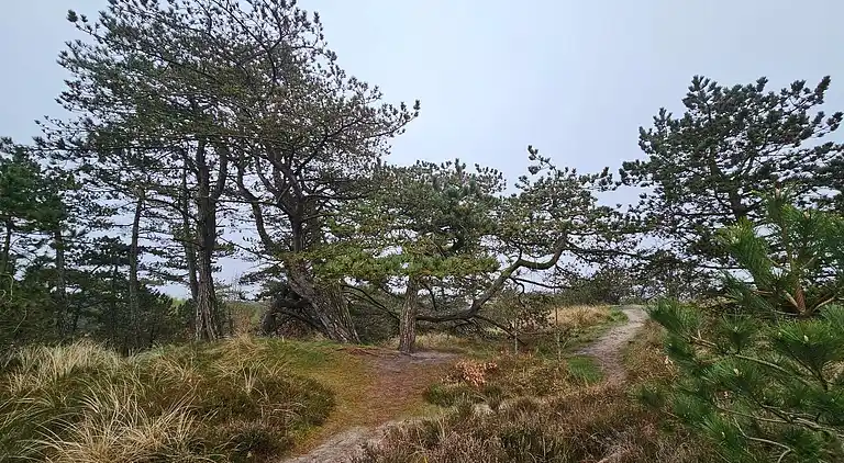 Sommerhus i Bolilmark