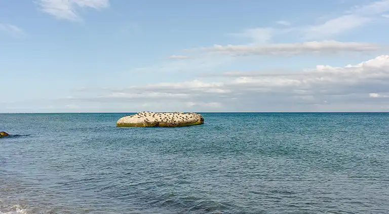 Maison de vacances en Skagen