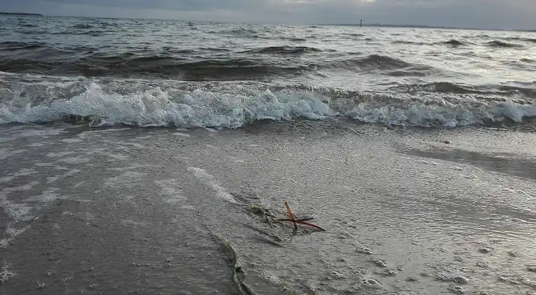 Sommerhus i Fugleslev