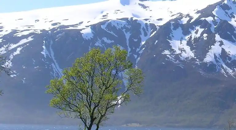 Holiday home in Flesnes