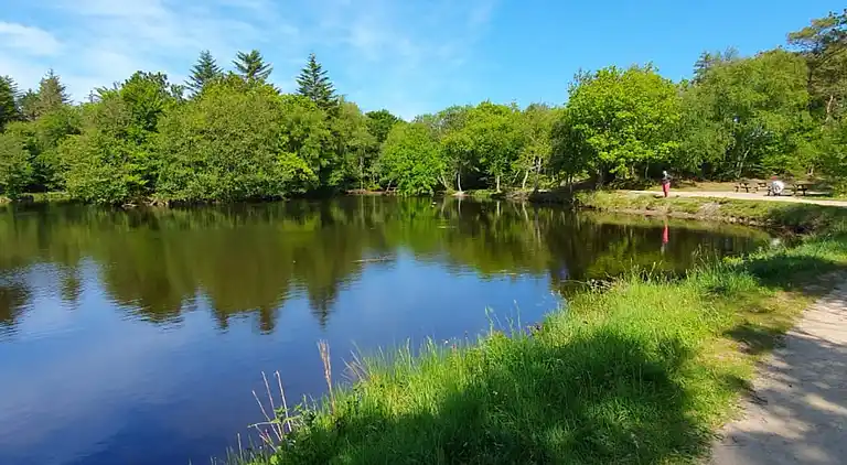 Casa de vacaciones en Ålbæk
