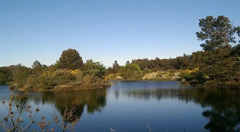 Casa de vacaciones en Ålbæk