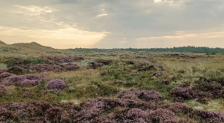 Casa de vacaciones en Ålbæk