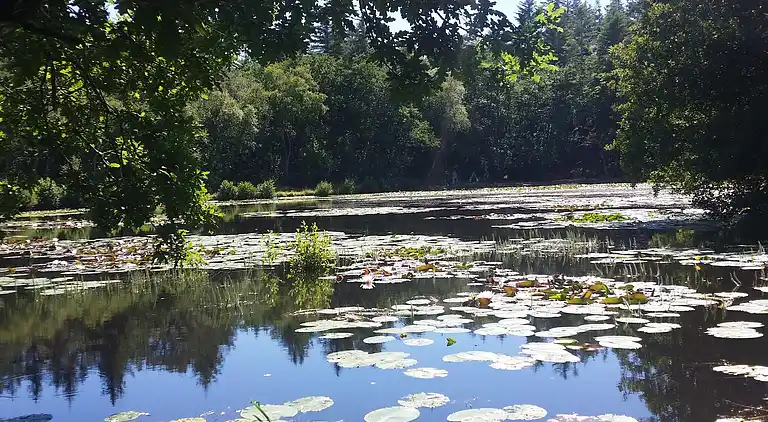 Casa de vacaciones en Ålbæk
