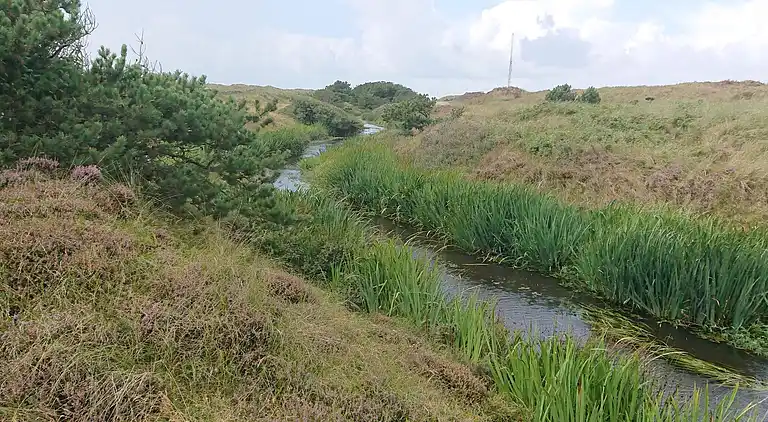 Vakantiehuis in Vejers Strand