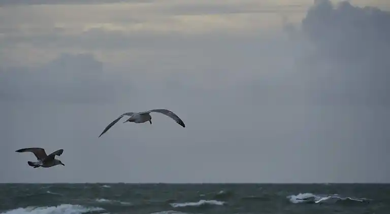 Holiday home in Harboøre