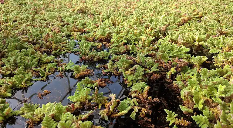 Holiday home in Hurup Thy