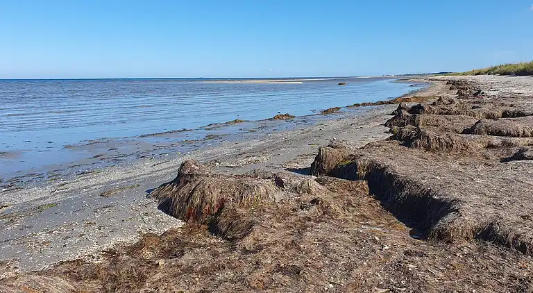 Sommerhus ved Bratten Strand