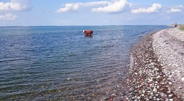 Holiday home in Nakskov