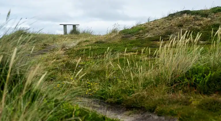 Vakantiehuis in Vrist Strand
