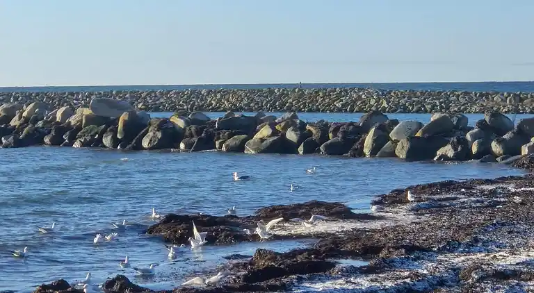 Holiday home in Dannemare