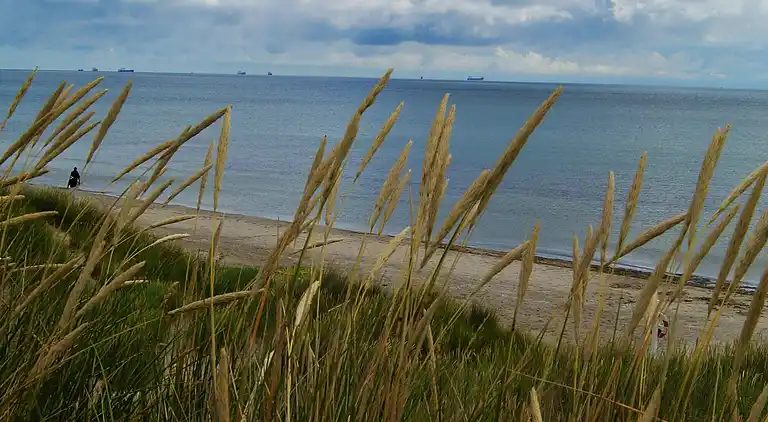 Holiday home in Ålbæk