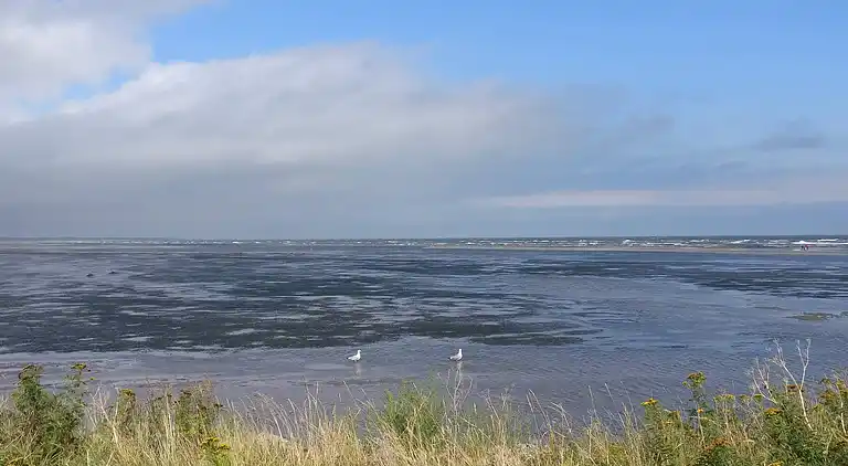 Holiday home in Asaa