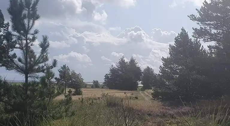 Holiday home in Mosevrå