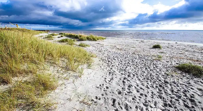 Holiday home in Asaa