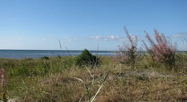 Holiday home in Asaa