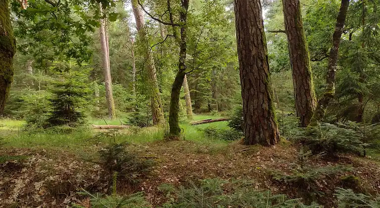 Holiday home in Mosevrå
