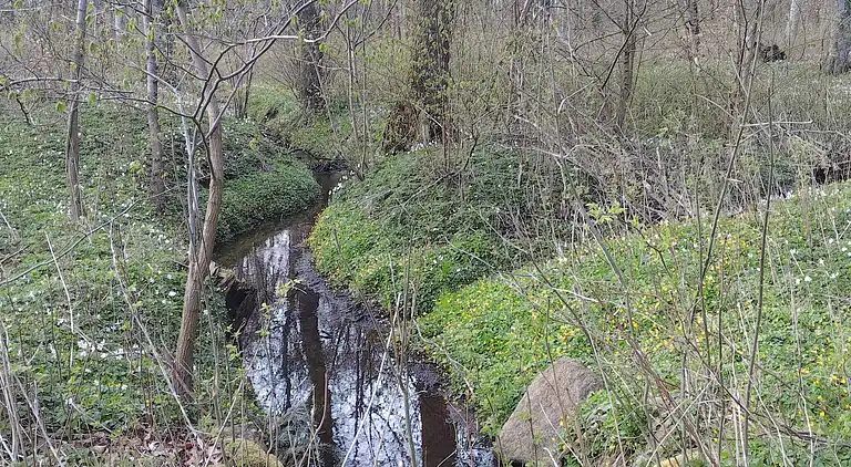 Holiday home in Asaa