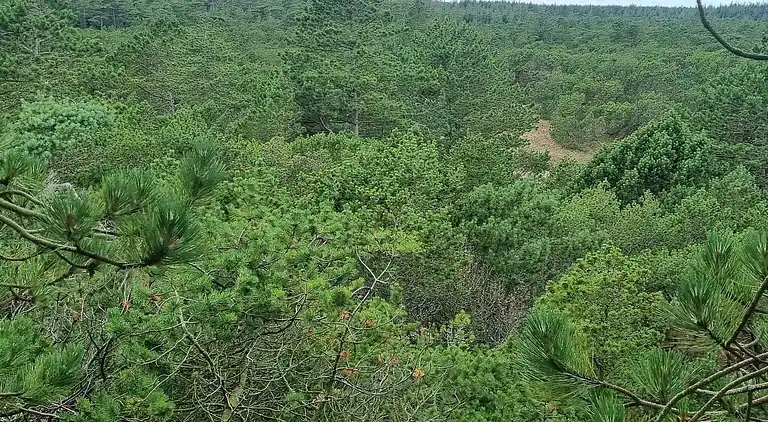 Holiday home in Mosevrå